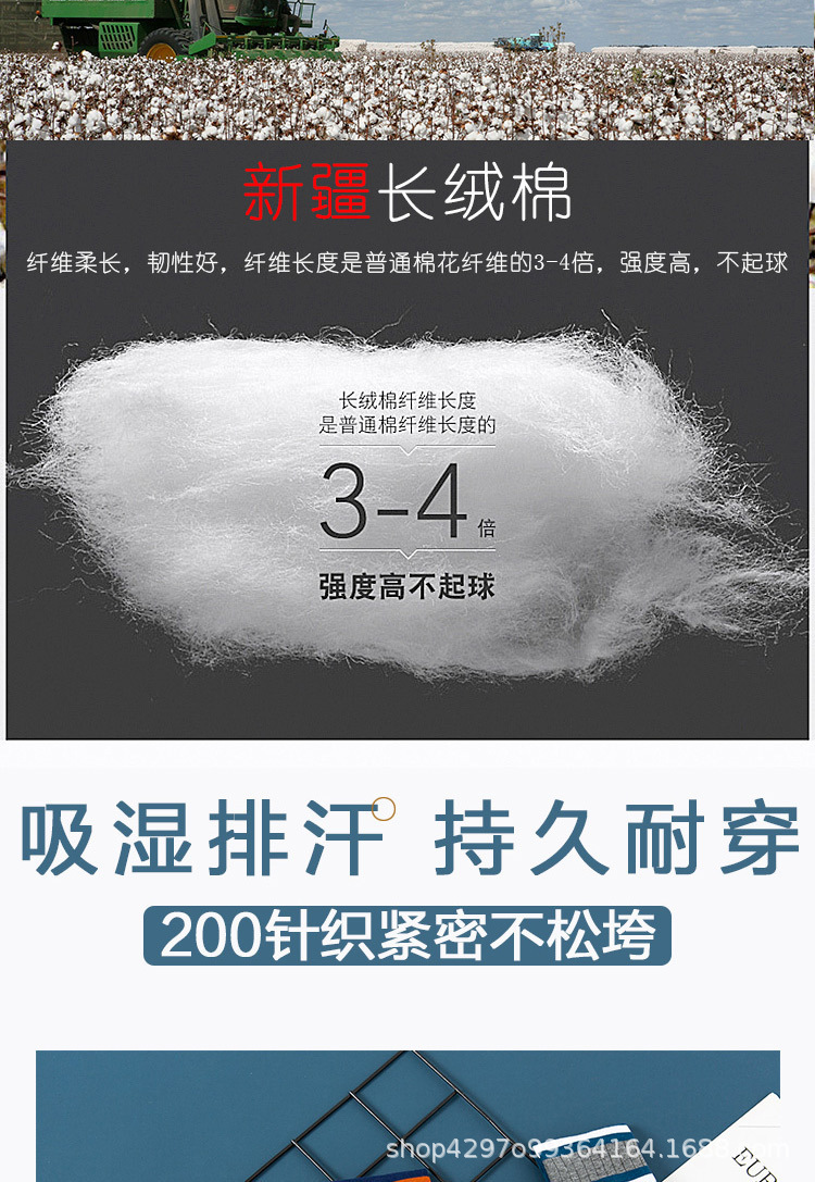混乱详情10_02.jpg