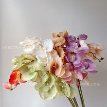 ��������m�����ٻ������m�S��ֱ�N�¿��c�Ƶ�������Q�羳���N