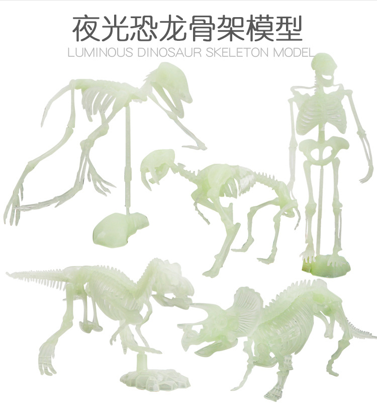 ZQ18-28夜光恐龙骨架_02.jpg