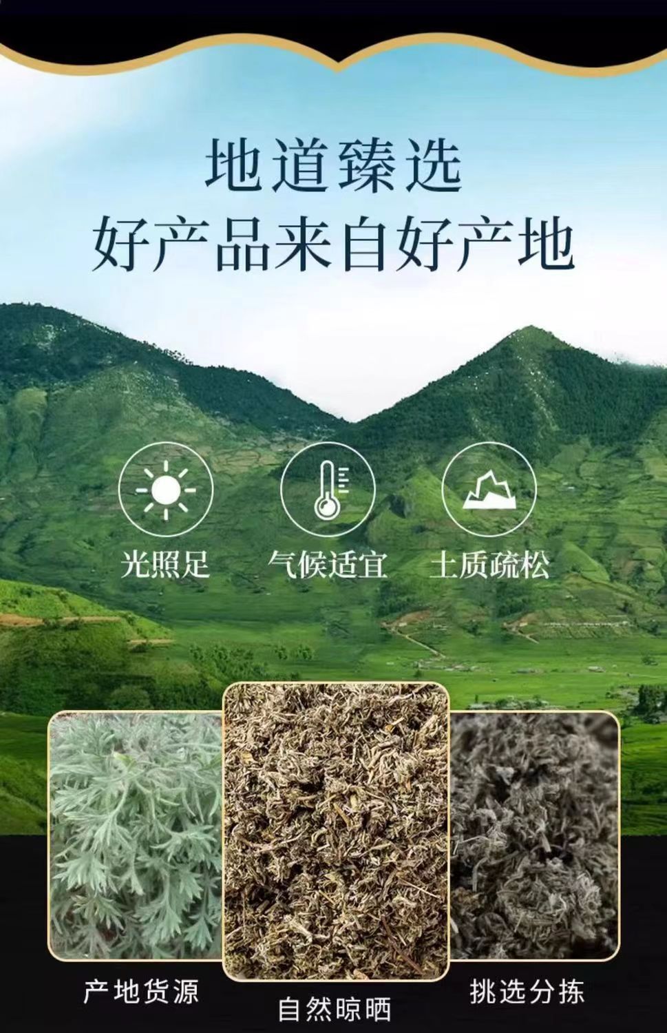 Yin Chen Dried Artemisia Capillaris Herb 50g Bottle Traditional Chinese Herbal Tea Ingredient key features
