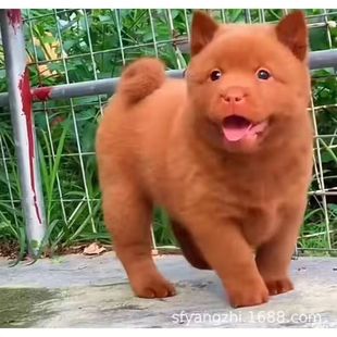 ���l������tȮ��Ȯ���w������tȮ���B���CȮ�����oԺ���͌��ﹷ