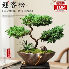 ӭ��������辰��������_�h���҃ȿ͏d�k���ҾGֲ�����Ϙ����B��