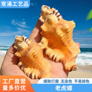 �ϻ��ݺ��ݚ���̖�[��ؐ����ˇƷ��ؐ���Ҿ��~���쾰�L���´�ĥ