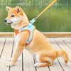 Cross -border explosion pet traction rope vest ventilation dog back straps reflector dog traction rope cat led rope