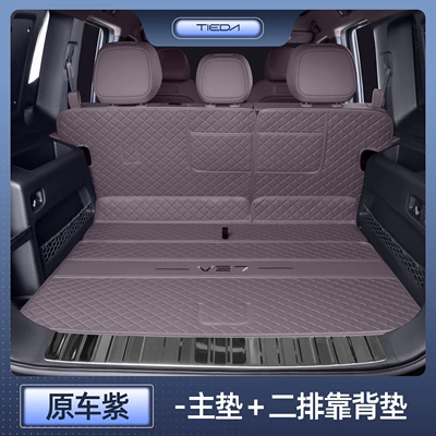 Mat, Full Surround Trunk | Trunk Mat - chery-icarv27-original-car-purple-backrest-main-cushion-chery-icarv27-trunk-mat