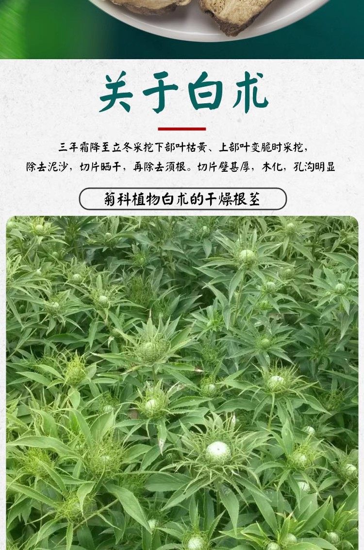 Wild Bai Zhu Dried Atractylodes Root Slices 500g Zhe White Atractylodes for Decoction and Soup overview