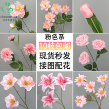 �[�Oӆ�陻���ٻ��Y���b���ɫ��ˇ�������b������ꐲ廨��צ��
