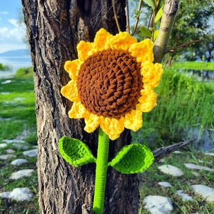 �羳���N��Ʒ�ֹ��h�����l��̖���տ���������һ�e�Z������ë����