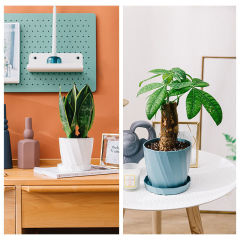 Potted Plant Nordic Minimalist Plastic Ceramic Style Lucky Bamboo Plant Pot Large Indoor Gallon Pot