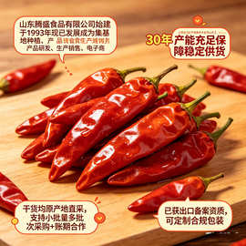 批發干辣椒小米印度新一代子弹头丝段大全商用批发香辣贸易超辣