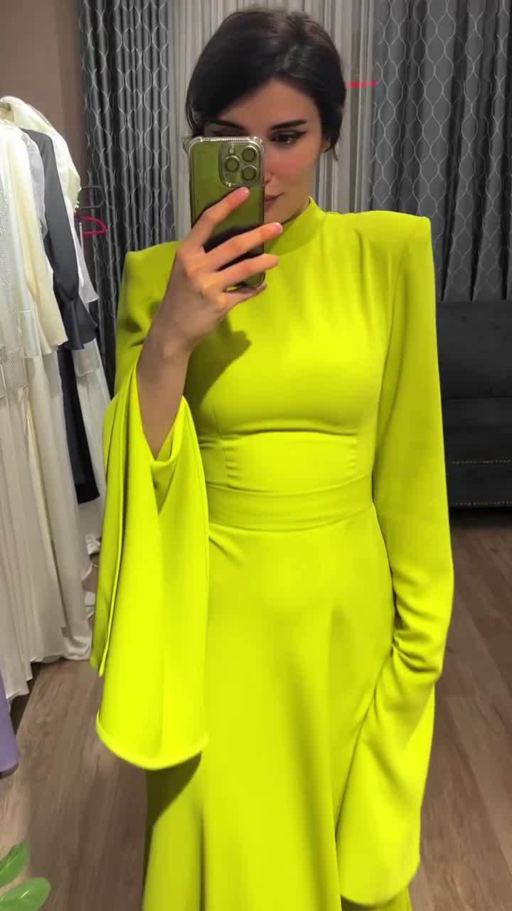 Women's Sheath Dress Elegant Classic Style High Neck Long Sleeve Solid Color Maxi Long Dress Daily display picture 6