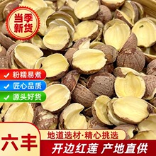 �tɏ�Ӹ�؛ȥо�oо�o�������̶��߅�_߅ɏ��ȥ��ֱ�N�t߅����