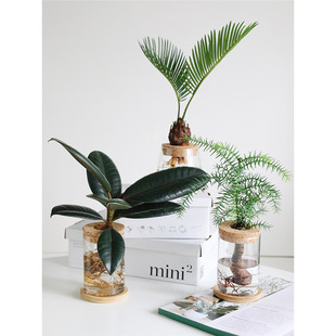 ˮ��ֲ�������������B�҃ȵ��������ԑ��˺��B�����՚��k���ҾGֲ