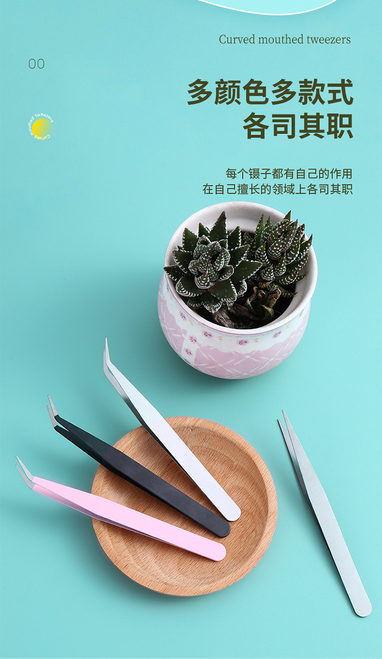 240202多肉镊子_02.jpg