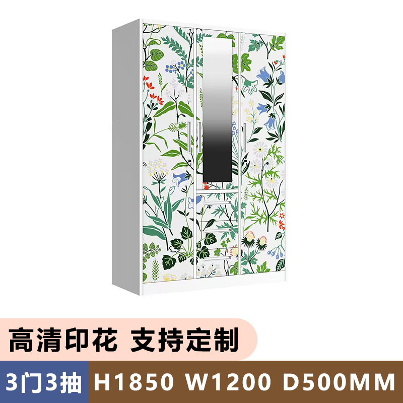 Amazon Hot Sale Printing Cabinet de acero casero armario desmontaje armario de balcón armario de almacenamiento vestuario image 11