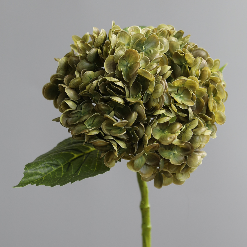 올리브 그린 GR3