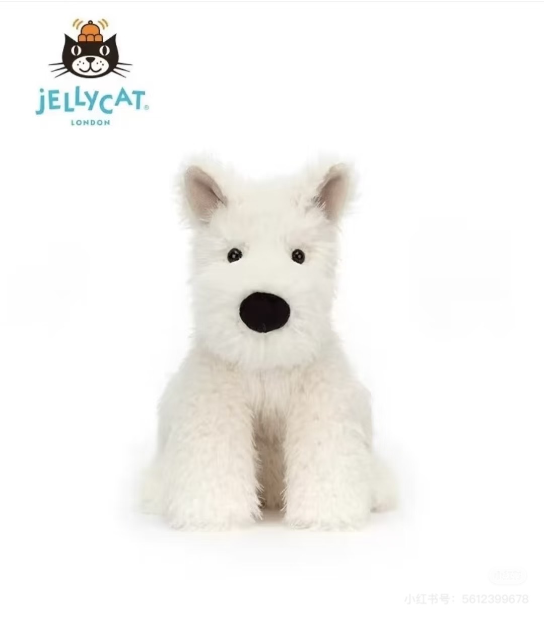 West highland terrier 23cm