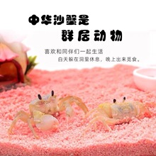 �з���b������B��B��ˢ��������۴��ײ�ɳз�����Ȍ�����