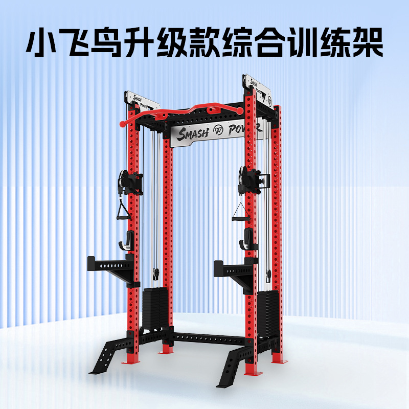Multifunctional Small Bird Training Rack for Home and Commercial Use, Comprehensive Trainer, Ultra-Narrow Squat Rack, Gantry Rack for Fitness