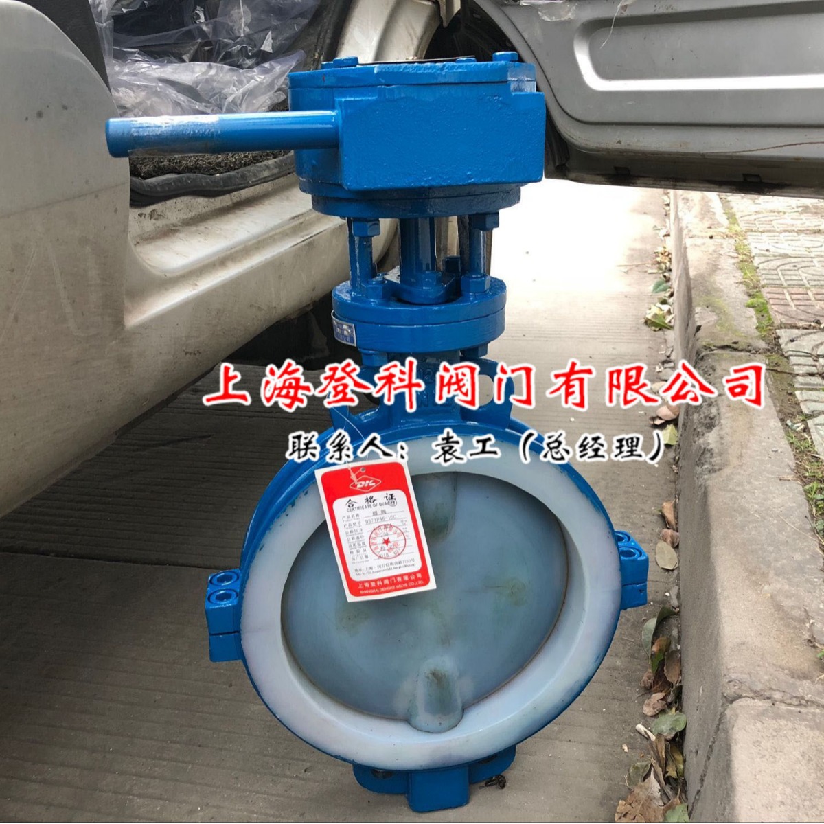 D371F46-16C DN250 对夹式涡轮衬氟蝶阀 手动F4蝶阀 四氟蝶阀