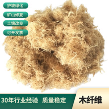 ľ�w�S�S�Ҹ��ٹ�·߅�¾G������ľ�w�S  �o�¾G��������ľ�|�w�S