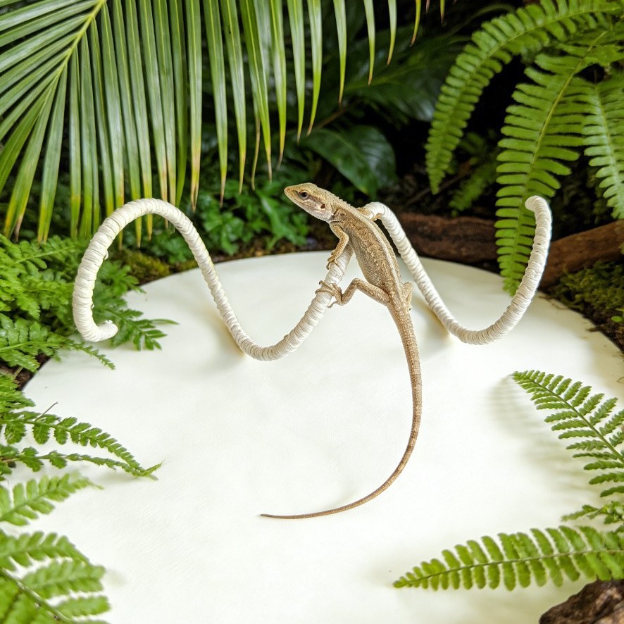 Hamaca de Escalada para Reptiles de Algodón