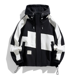 2024������ʿƴ�ӕr�аٴ��\�����e���ĸ��Lins�Bñ�L��A��