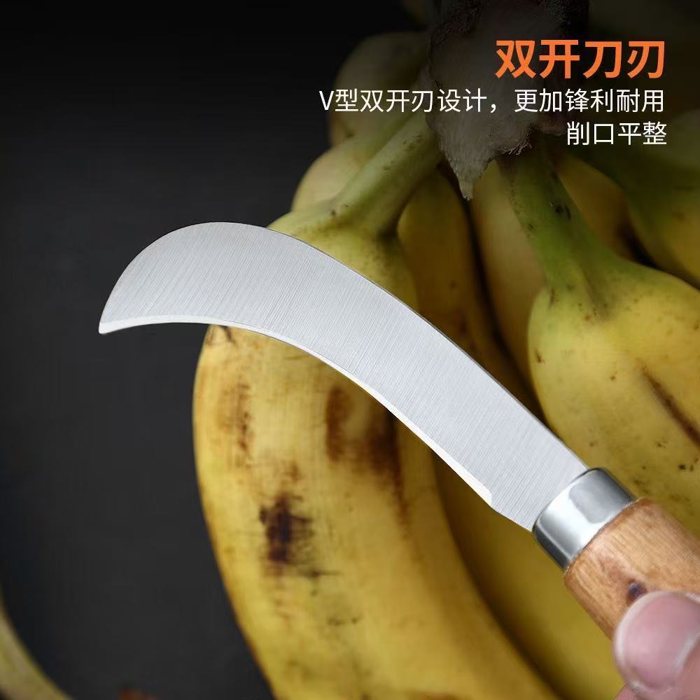 微信图片_20260414134533_322_28.jpg