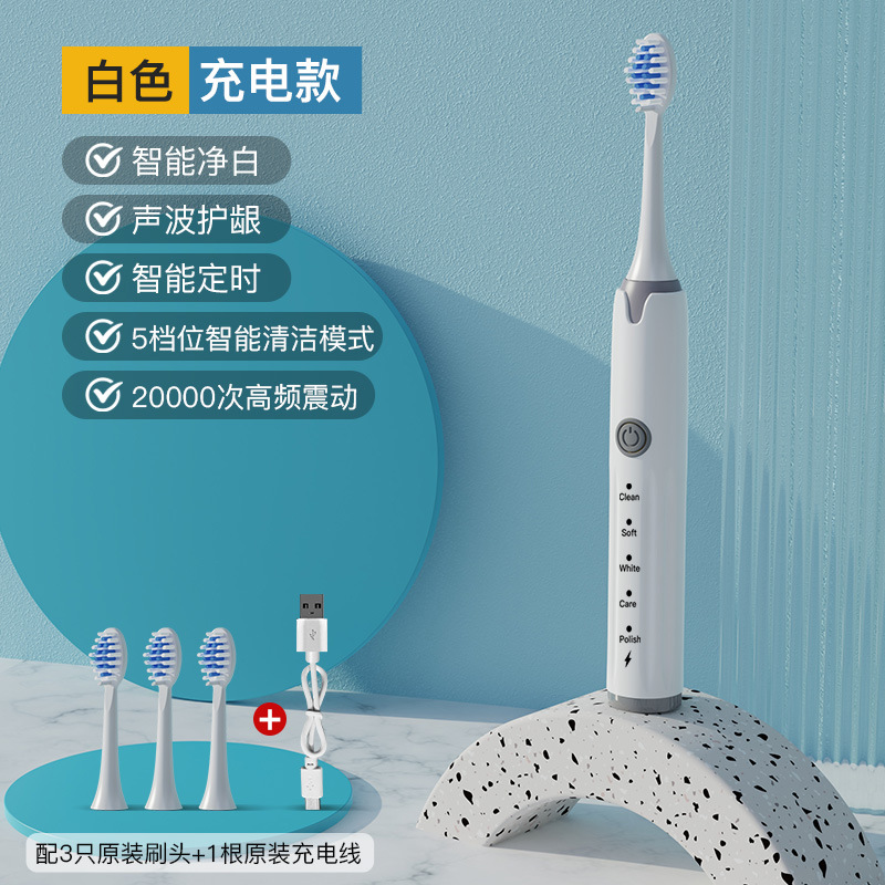 B 화이트 충전 모델 [3 브러시 헤드 + USB 충전 라인]