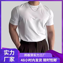 2025�ļ��¿��n���������T����ʿ���³����A�I�����ٴ�W�����l