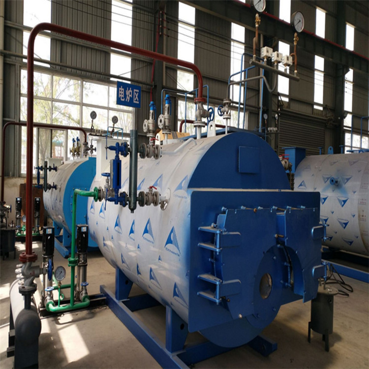 食用菌种植使用蒸汽锅炉 菌包蒸养蒸汽锅炉 WNS蒸汽锅炉