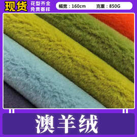 现货 澳羊绒850克 仿羊毛秋冬服装皮草外套面料 澳羊毛箱包布料