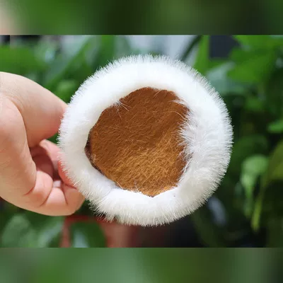 Car ornaments — Crafts