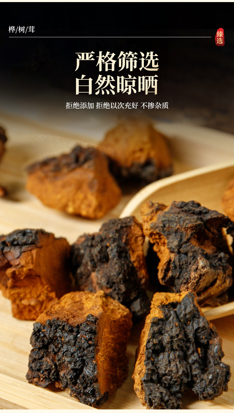 Chaga Mushroom Granules Hua Shu Rong 250g Dried Birch Conk Chunks for Herbal Tea and Decoction quality and texture