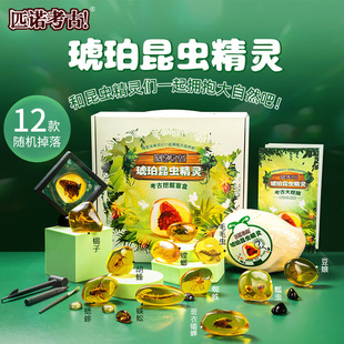 Archaeological excavation toy Amber insect specimen digging gem blind box treasure hunting dinosaur fossil luminous boy treasure digging