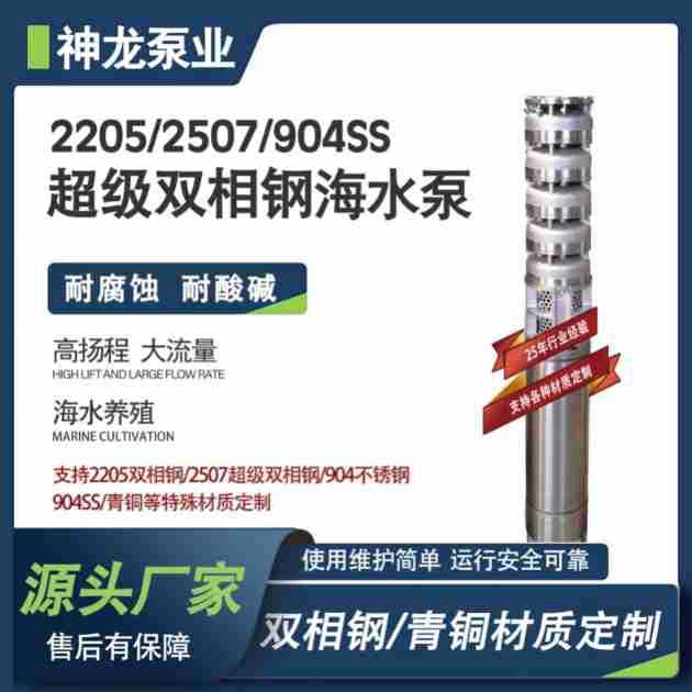 2205 bomba de agua de mar de acero bifásico resistente a la corrosión bomba especial de agua de mar de alta elevación bomba de elevación de agua de mar de gran caudal