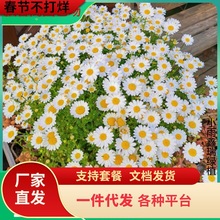 һlʾջСrշN̫ꖻ׾ոɣNͥԺ