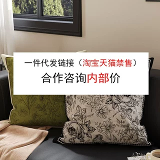 法式高级感抱枕轻奢靠枕腰靠布艺床上客厅沙发抱枕套靠垫一件代发