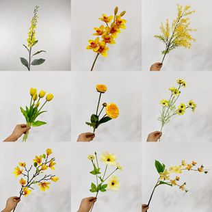 ��Ʒ�|�Sɫϵ���滨�� ��ɫ��Y�û�c�ٻ� �����쾰����S�����l