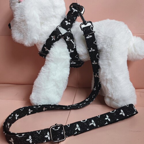 Tide brand large flower dog leash for walking small dogs like Terriers, medium pets like Corgis, and puppies Golden Retrievers, with a chest and back strap.