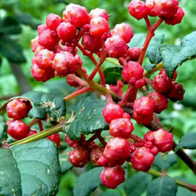 Базовая посадочная площадка