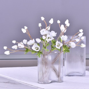 Դ�^�S؛���滨�ٻ����l�����yɏ���Ƶ�������Ӱ��g�b��^��