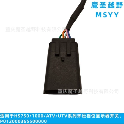 Huansong Gear Display – Other vehicle instruments