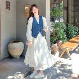实拍时髦气质蕾丝连衣裙套装女2025秋季新款设计感牛仔马甲两件套