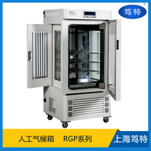 �V��RGPֲ������˹�������B�䌍��Ґa�ؐa�� �����