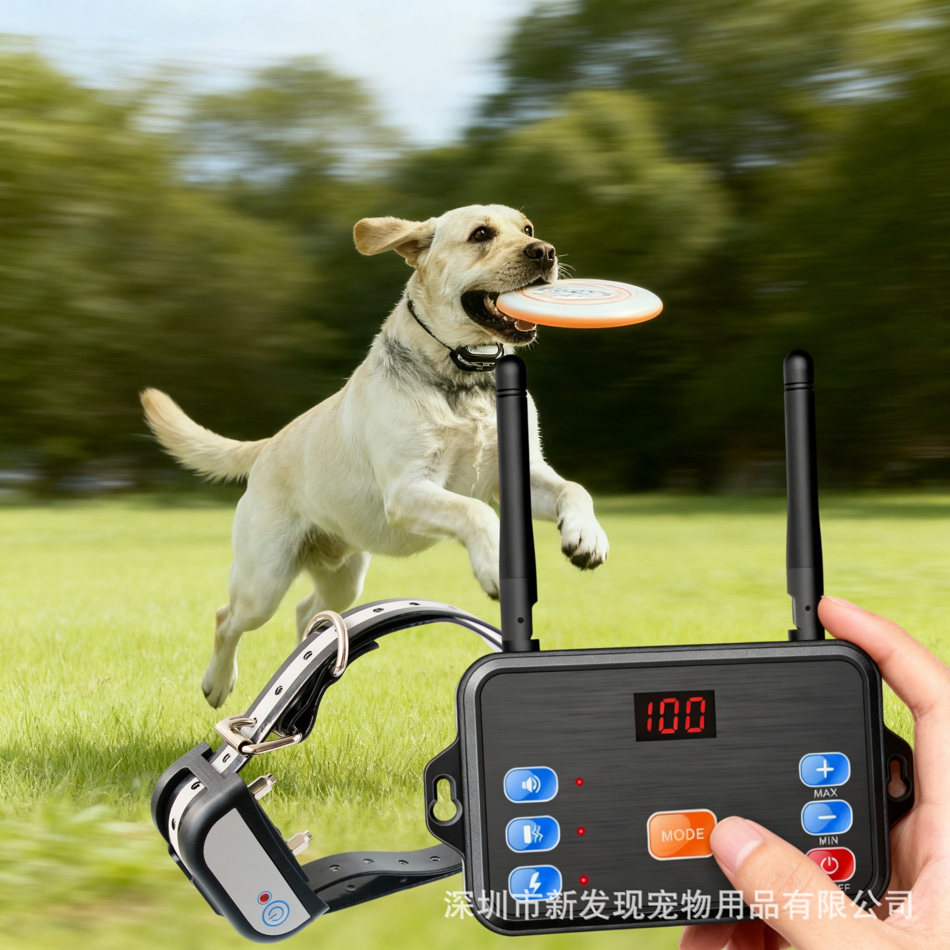 Cross-Border Pet Supplies Two-In-One Smart Rechargeable Pet Dog Training Device Dog Collar Pet Wireless Remote Control Electronic