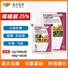 ������ 25%���ͪ򻚤�x��С�~�sʸ���隤�x�wʭ�rș���x��25��