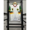 25-26 Cameroon 2 away game