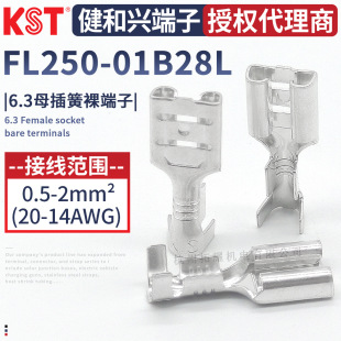 KST�����dFL250-01B28L 6.3ĸ���������_����RoHS REACH CE�J�C