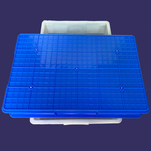 �S���x�Bֳ�z�P ���Ϸ��P��ɫ�����L���Μ\�����B�~�����z�бP